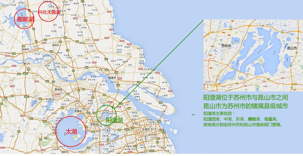 阳澄湖认证产区阳澄湖大闸蟹官网